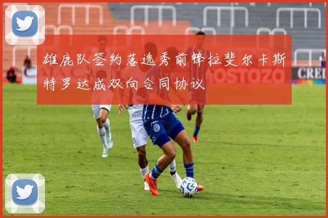 雄鹿队签约落选秀前锋拉斐尔卡斯特罗达成双向合同协议
